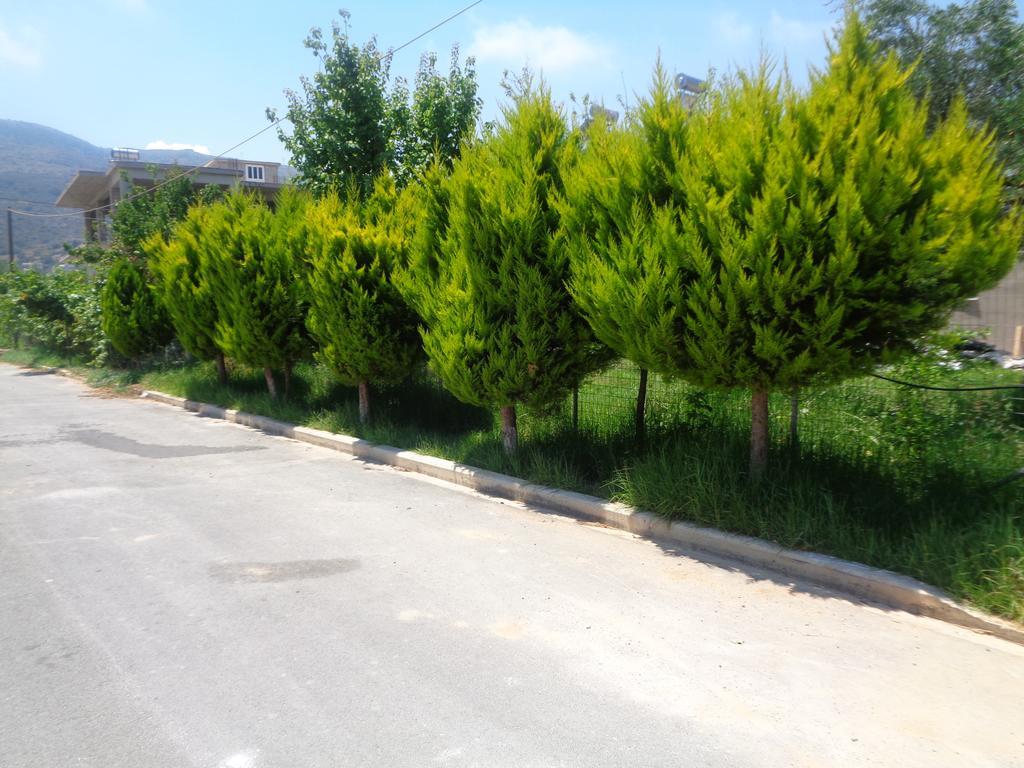 Creta Nostos Luxury Apartment Tsikalaria  Exteriér fotografie