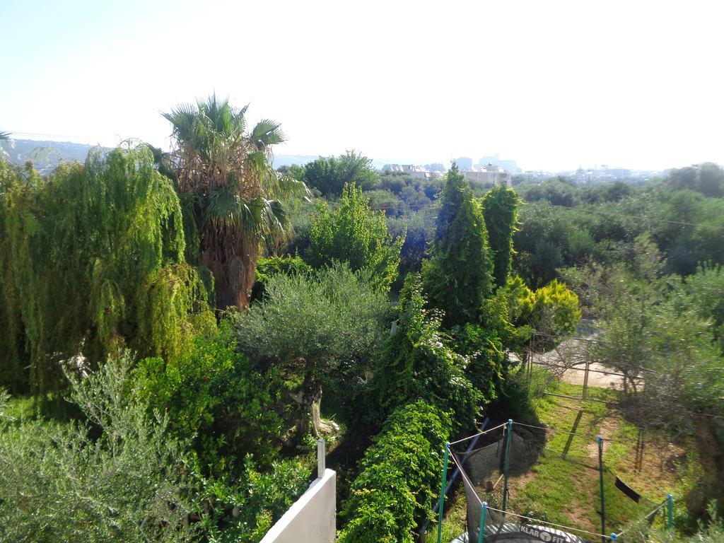 Creta Nostos Luxury Apartment Tsikalaria  Exteriér fotografie