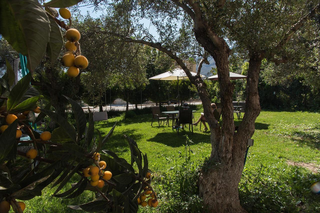 Creta Nostos Luxury Apartment Tsikalaria  Exteriér fotografie